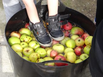 Celebrating our harvest